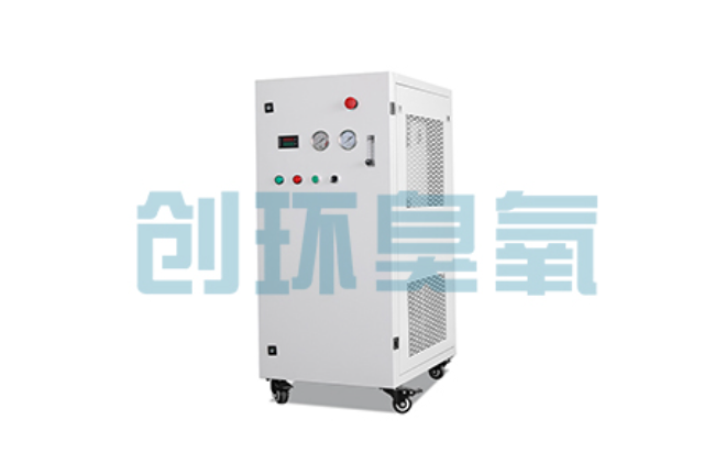 晋中比传统换水更高效？臭氧发生器在石斑鱼养殖中的水质净化原理解析