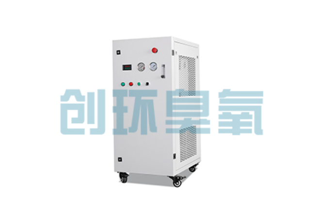 晋中比传统换水更高效?臭氧发生器在石斑鱼养殖中的水质净化原理解析